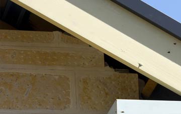 soffit repair Southlands
