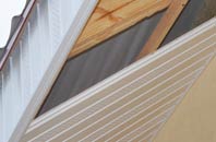 rated Southlands soffit repair companies